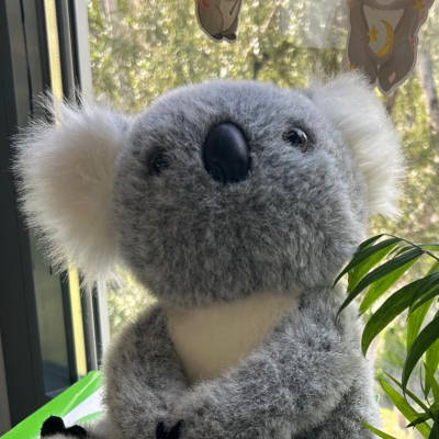 1a Koalaklasse